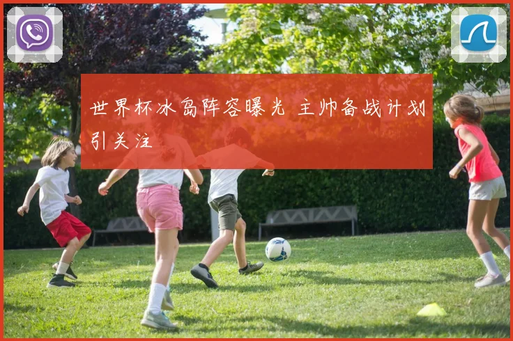 世界杯冰岛阵容曝光 主帅备战计划引关注