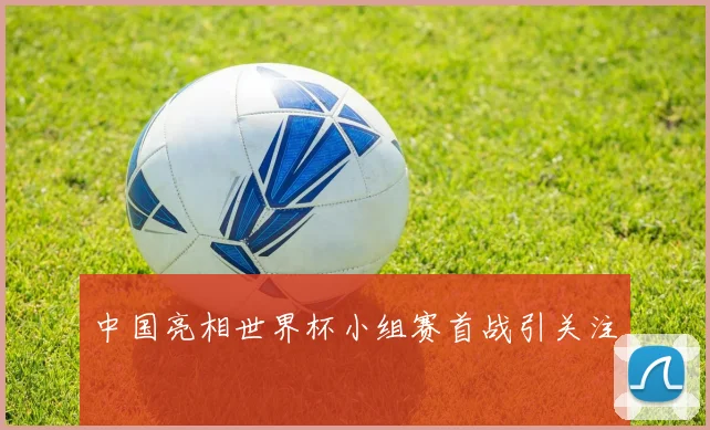 中国亮相世界杯小组赛首战引关注